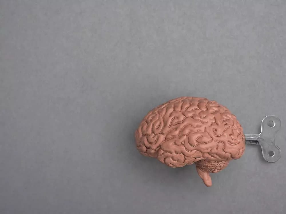 10 consejos para mantener en forma el cerebro con esclerosis múltiple
